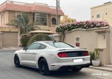 For sale and exchangeable Mustang 50  